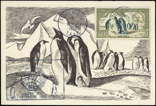 1956, Französische Gebiete in der Antarktis, 8 Maxi