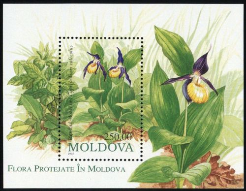 1993, Moldawien, Bl. 4 Probe, **