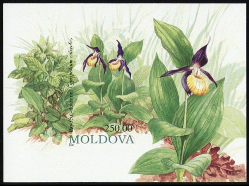 1993, Moldawien, Block 4 U, **