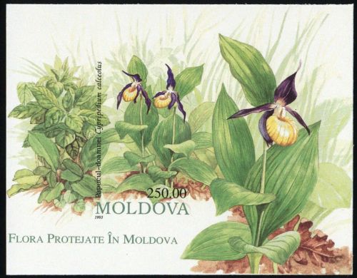 1993, Moldawien, Bl. 4 U Probe, **