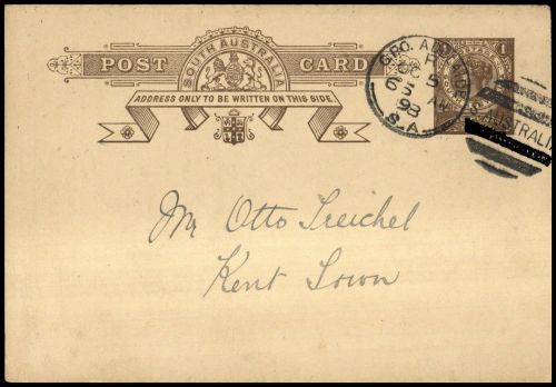 1893, Südaustralien, P 3 a, Brief