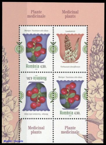 2023, Rumänien, Block 929, **