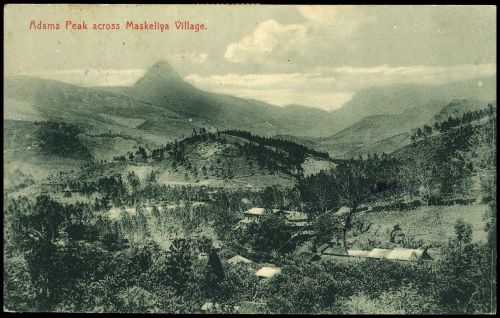 1911, Ceylon, 167 (3), Brief