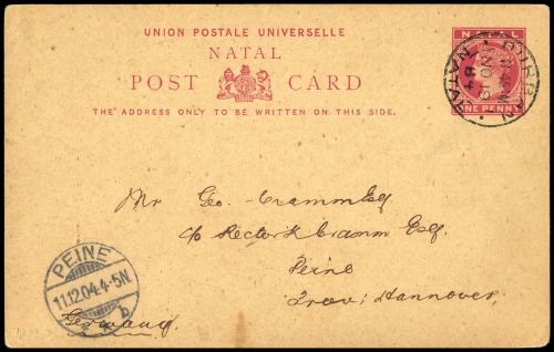 1893, Natal, P 7, Brief
