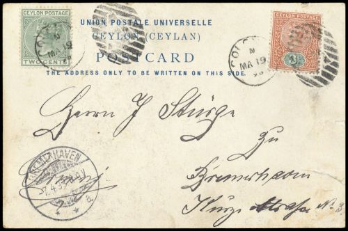 1884, Ceylon, 59, 117, Brief