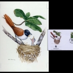 1996, Seychellen, (801) Original