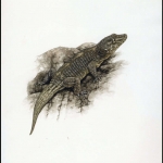 1986, Kap Verde, (501) Original