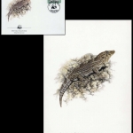 1986, Kap Verde, (502) Original
