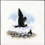 1990, Ascension, (521) Original