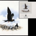 1990, Ascension, (521) Original