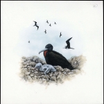 1990, Ascension, (522) Original
