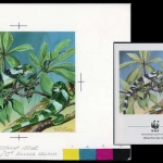 1990, Tonga, (1142) Original