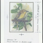 1991, Barbados, (770) Original