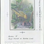 1991, Barbados, (772) Original