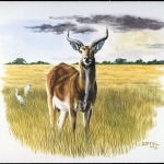 1987, Sambia, (441) Original