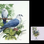 1995, Tokelau Inseln, (211) Original