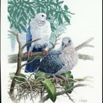 1995, Tokelau Inseln, (213) Original