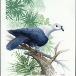 1995, Tokelau Inseln, (212) Original