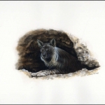 1995, Botswana, (589) Original