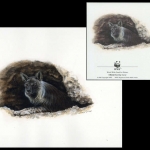 1995, Botswana, (589) Original