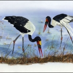 1996, Sambia, (656) Original