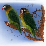 1996, Sambia, (658) Original