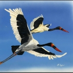 1996, Sambia, (659) Original