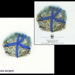 2001, Britisches Territorium im Indischen Ozean, (267) Original