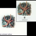 2001, Britisches Territorium im Indischen Ozean, (269) Original