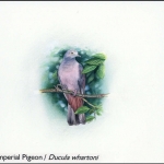 2002, Weihnachtsinseln, (497) Original