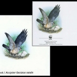 2002, Weihnachtsinseln, (499) Original