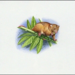 2002, Salomoninseln, (1062) Original