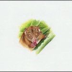 2002, Salomoninseln, (1065) Original