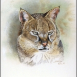 2002, Tadschikistan, (210) Original