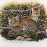 2002, Tadschikistan, (211) Original