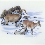 2005, Tadschikistan, (392) Original