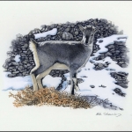 2005, Tadschikistan, (395) Original