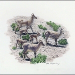 2005, Tadschikistan, (394) Original