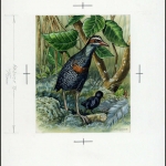 1992, Kokos Inseln, (268) Original