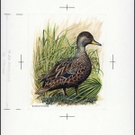 1992, Falkland Abhänige Gebiete F Süd Georgien, (203) Original