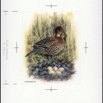 1992, Falkland Abhänige Gebiete F Süd Georgien, (204) Original