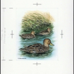 1992, Falkland Abhänige Gebiete F Süd Georgien, (205) Original