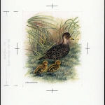 1992, Falkland Abhänige Gebiete F Süd Georgien, (206) Original
