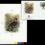 1992, Falkland Abhänige Gebiete F Süd Georgien, (206) Original