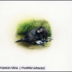 1999, Georgien, (308) Original