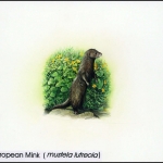 1999, Georgien, (309) Original