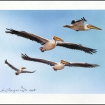 2007, Ukraine, (897) Original