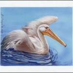 2007, Ukraine, (898) Original