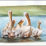 2007, Ukraine, (899) Original