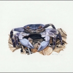 2000, Kokos Inseln, (401) Original